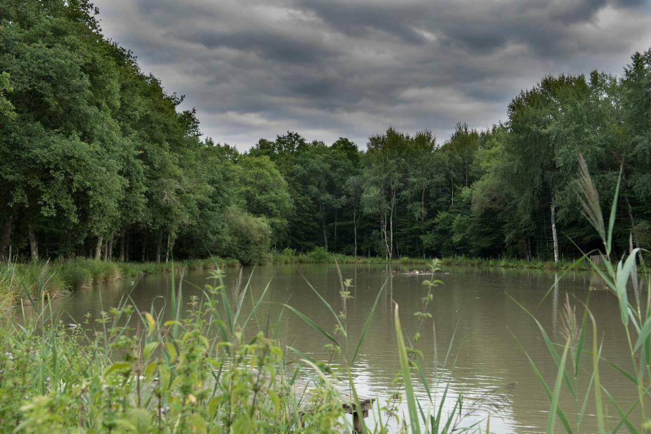 Vila Ferme Des Poulardieres Crouy-sur-Cosson Exteriér fotografie