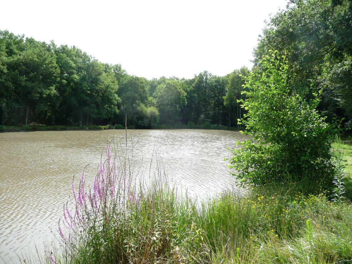 Vila Ferme Des Poulardieres Crouy-sur-Cosson Exteriér fotografie