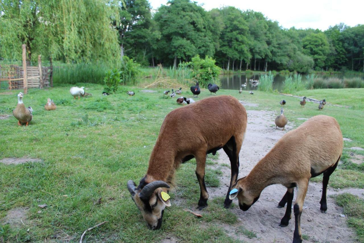 Vila Ferme Des Poulardieres Crouy-sur-Cosson Exteriér fotografie