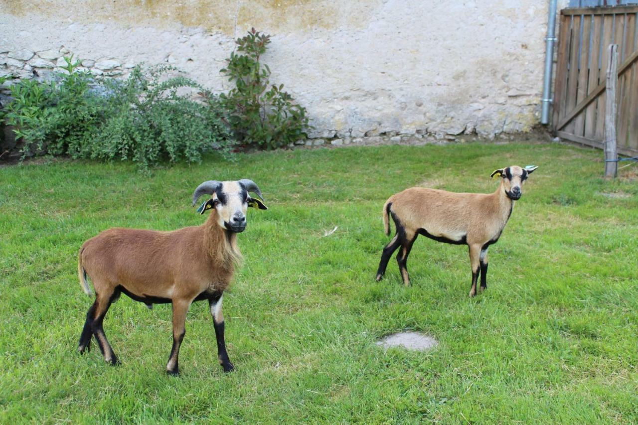 Vila Ferme Des Poulardieres Crouy-sur-Cosson Exteriér fotografie